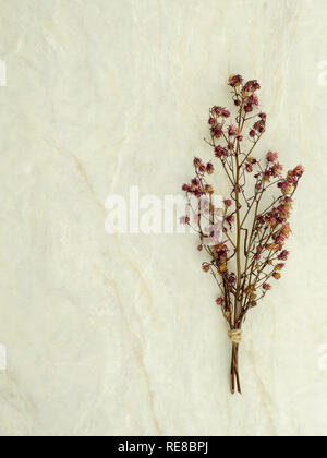 Ansicht von oben Bukett von getrockneten und verwelkt roten Gypsophila Blumen auf matt Marmor Hintergrund mit Kopie Raum Stockfoto