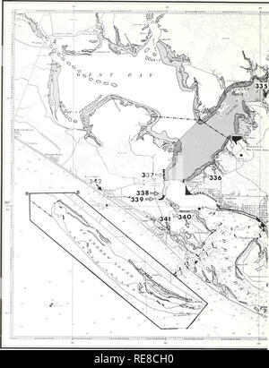 . Kooperative Golf von Mexiko Mündungs- bestand und Studie, Florida/J. Kneeland McNulty, William N. Lindall, Jr., und James E. Sykes. Mündungs- biologie Florida. 40. Bitte beachten Sie, dass diese Bilder sind von der gescannten Seite Bilder, die digital für die Lesbarkeit verbessert haben mögen - Färbung und Aussehen dieser Abbildungen können nicht perfekt dem Original ähneln. extrahiert. McNulty, J.; Kneeland Lindall, William N; Sykes, James E. Seattle, Washington: NOAA, National Marinke Fischerei Service; Washington, D.C.: für Verkauf durch die Aufsicht von Dokumenten, U. S. G. S. O. Stockfoto