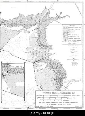 . Kooperative Golf von Mexiko Mündungs- bestand und Studie, Florida/J. Kneeland McNulty, William N. Lindall, Jr., und James E. Sykes. Mündungs- biologie Florida. 31. Bitte beachten Sie, dass diese Bilder sind von der gescannten Seite Bilder, die digital für die Lesbarkeit verbessert haben mögen - Färbung und Aussehen dieser Abbildungen können nicht perfekt dem Original ähneln. extrahiert. McNulty, J.; Kneeland Lindall, William N; Sykes, James E. Seattle, Washington: NOAA, National Marinke Fischerei Service; Washington, D.C.: für Verkauf durch die Aufsicht von Dokumenten, U. S. G. S. O. Stockfoto