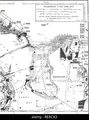 . Kooperative Golf von Mexiko Mündungs- bestand und Studie, Florida/J. Kneeland McNulty, William N. Lindall, Jr., und James E. Sykes. Mündungs- biologie Florida. 25. Bitte beachten Sie, dass diese Bilder sind von der gescannten Seite Bilder, die digital für die Lesbarkeit verbessert haben mögen - Färbung und Aussehen dieser Abbildungen können nicht perfekt dem Original ähneln. extrahiert. McNulty, J.; Kneeland Lindall, William N; Sykes, James E. Seattle, Washington: NOAA, National Marinke Fischerei Service; Washington, D.C.: für Verkauf durch die Aufsicht von Dokumenten, U. S. G. S. O. Stockfoto