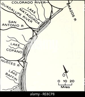 . Kooperative Golf von Mexiko Mündungs- bestand und Studie, Texas: Bereich Beschreibung / Richard A. Diener. Ästuare Texas. jiTHE^ pESERT: [^GOLF VON MEXIKO. "Die Wüste:?. Bitte beachten Sie, dass diese Bilder sind von der gescannten Seite Bilder, die digital für die Lesbarkeit verbessert haben mögen - Färbung und Aussehen dieser Abbildungen können nicht perfekt dem Original ähneln. extrahiert. Diener, Richard ein; in den Vereinigten Staaten. National Marine Fischerei Service. Seattle, WA: US Abt. des Handels, der nationalen ozeanischen und atmosphärischen Leitung, National Marine Fischerei Service; Washingt Stockfoto