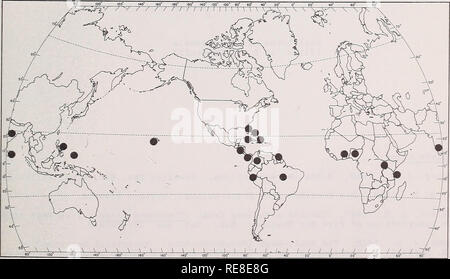 . Kooperative Wirtschaftsbeziehungen insekt Bericht. Schadinsekten Kontrolle Usa Zeitschriften. - 767 - EINE WURZEL MEALYBUG (Geococcus coffeae Grün) Einführung: Das Insekt, aus Proben an Wurzeln von Kaffee Baum gesammelt beschrieben (Coffea liberica) von Niederländisch Guayana (Green, 1933), wurde zum ersten Mal in Florida 1958 gefunden auf Wurzeln von Dieffenbachia sp. und Philodendron selloum, durch H. M. Van Pelt. Diese Blätter Pflanzen waren kommerziell in einem Gewächshaus in Apopka gewachsen. Bestimmung - Nation von H. Morrison zeigte dieser einen neuen Datensatz für den kontinentalen Vereinigten Staaten. 1958 wurde eine spezielle Erhebung von Gewächshäusern in Flor Stockfoto