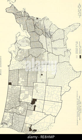 . Kooperative Wirtschaftsbeziehungen insekt Bericht. Nützlinge und Schädlinge. 768. Bitte beachten Sie, dass diese Bilder sind von der gescannten Seite Bilder, die digital für die Lesbarkeit verbessert haben mögen - Färbung und Aussehen dieser Abbildungen können nicht perfekt dem Original ähneln. extrahiert. In den Vereinigten Staaten. Tier- und Pflanzengesundheit. Pflanzenschutz und Quarantäne Programme; in den Vereinigten Staaten. Büro der Entomologie und Quarantäne; in den Vereinigten Staaten. Anlage Pest Control. Hyattsville, MD. [Etc. ] Pflanzenschutz und Quarantäne Programme und die Gesundheit von Tieren und Pflanzen Service Stockfoto