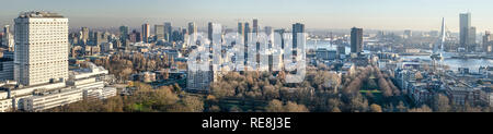 Rotterdam, die Niederlande, Januar 2019: Panorama-blick auf die Skyline von Rotterdam an einem sonnigen Morgen, von Erasmus Medical Center Stockfoto