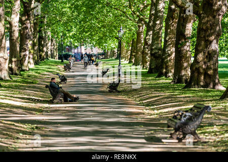 London, Großbritannien, 22. Juni 2018: Leute, die in der Gasse Pfad im Green Park in Westminster Querformat während der grünen sonnigen Sommertag mit Bänken und Sh Stockfoto