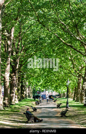 London, Großbritannien, 22. Juni 2018: Leute, die in der Vertikalen Gasse Pfad im Green Park in Westminster Querformat während der grünen sonnigen Sommertag mit Sitzbank Stockfoto