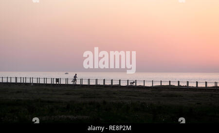 Junger Mann mit seinem Hund in den späten Nachmittag auf einem Holzsteg aus den Dünen im Norden von Portugal. Stockfoto