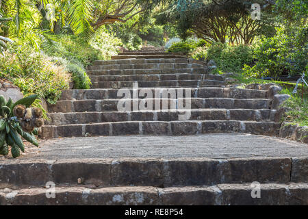 Steinerne Treppen in Kirstenbosch Botanischen Garten von Kapstadt Stockfoto