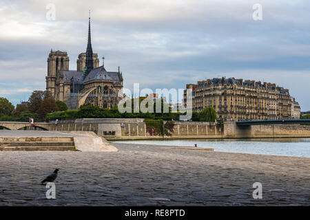 Notre Dame de Paris, Blick auf die Kathedrale von der Seine Bank, Paris, Frankreich in den Morgen Stockfoto