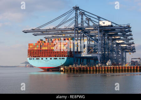 Blick auf massive Maersk Container schiff Entladen von Containern Fracht in Felixstowe port Suffolk Stockfoto