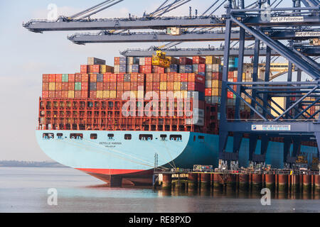 Blick auf massive Maersk Container schiff Entladen von Containern Fracht in Felixstowe port Suffolk Stockfoto