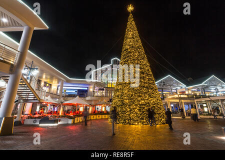 Weihnachtsbaum bei V A Waterfront in Kapstadt Stockfoto