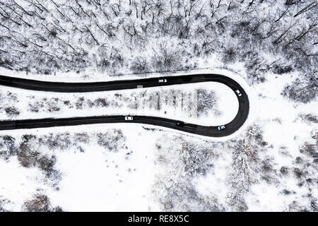 Luftaufnahme von einer schönen Serpentinenstraße mit einigen Autos, die durch Ausführen. Spektakuläre Landschaft, bestehend aus einem Pinien Wald und weißen Schnee. Stockfoto