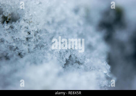 Makro Bilder von Schnee- und Eiskristalle auf pine Niederlassungen auf einer extrem kalten Winter Januar Tag in Calgary, Alberta, Kanada. Stockfoto