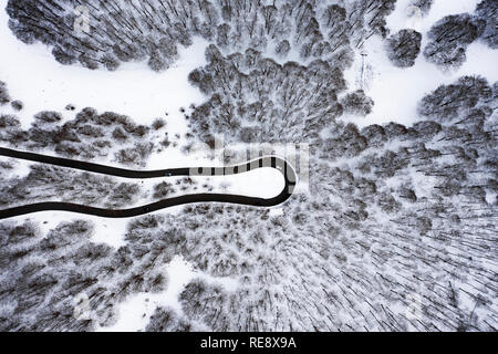 Luftaufnahme von einer schönen Serpentinenstraße mit einigen Autos, die durch Ausführen. Spektakuläre Landschaft, bestehend aus einem Pinien Wald und weißen Schnee. Stockfoto