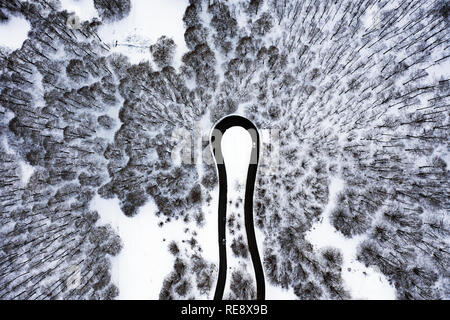 Luftaufnahme von einer schönen Serpentinenstraße mit einigen Autos, die durch Ausführen. Spektakuläre Landschaft, bestehend aus einem Pinien Wald und weißen Schnee. Stockfoto