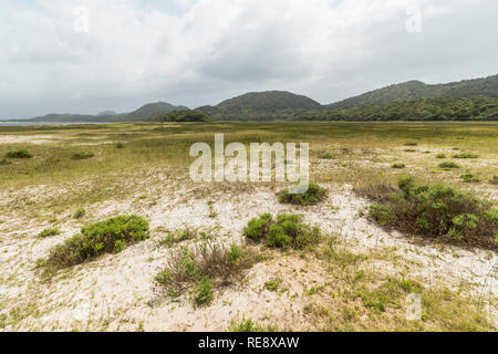 St. Lucia Wetlands Park, schöne Natur Stockfoto