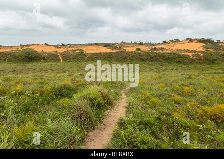 Rote Sanddünen in St. Lucia Wetlands Park in Südafrika Stockfoto