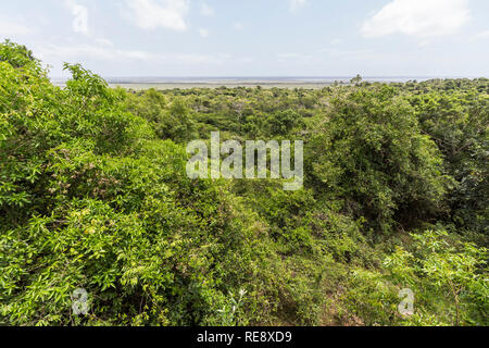 St. Lucia Wetlands Park Landschaft, Südafrika Stockfoto