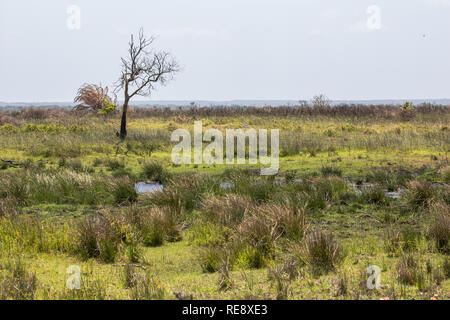 St. Lucia Wetlands Park Landschaft, Südafrika Stockfoto
