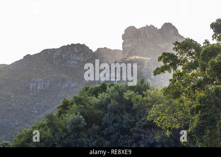 Blick auf den Tafelberg von Kirstenbosch in Kapstadt Stockfoto