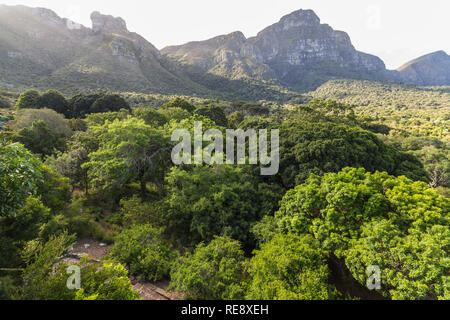 Blick auf den Tafelberg von Kirstenbosch in Kapstadt Stockfoto