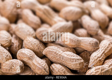 Erdnüsse in einer Shell unscharfen Hintergrund, Kopieren, Schließen, Ansicht von oben Stockfoto