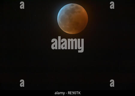 Super Blut Wolf Mond als über den Himmel von Albuquerque, New Mexico, USA gesehen Stockfoto