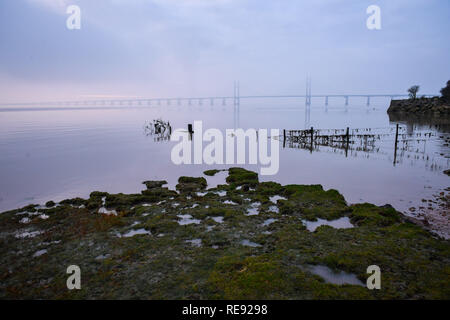Bei Sonnenaufgang Nebel umgibt, der Prinz von Wales Brücke über den Fluss Severn Estuary zwischen England und Wales, wo über Nacht cloud ein Frost verhindert hat und verdeckt den Blick auf die totale Mondfinsternis für viele Teile des West Country. Stockfoto