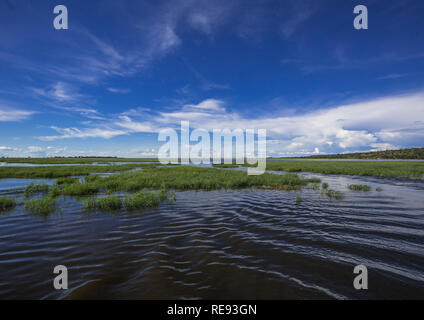 Landschaft Bild des Chobe Fluss am Chobe Nationalpark in Botsuana im Sommer Stockfoto