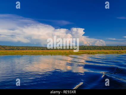 Landschaft Bild des Chobe Fluss am Chobe Nationalpark in Botsuana im Sommer Stockfoto