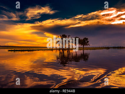 Abend Landschaft Bild des Chobe Fluss am Chobe Nationalpark in Botsuana im Sommer Stockfoto