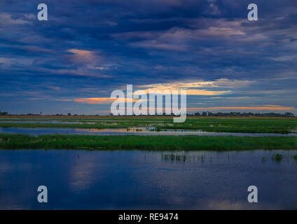 Landschaft Bild des Chobe Fluss am Chobe Nationalpark in Botsuana im Sommer Stockfoto