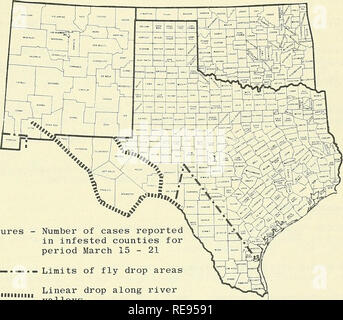 . Kooperative Wirtschaftsbeziehungen insekt Bericht. Nützlinge und Schädlinge. - 243 - LONE STAR TICK (Amblyomma americanum) - Oklahoma - Licht Populationen im Pushmataha und Latimer Grafschaften (Südosten). (Okla. Coop. Sur). STATUS DER SCHRAUBE-WORM (Cochliomyia hominivorax) IM SÜDWESTEN im Zeitraum März 15-21, eine Schraube - Worm in Texas bekannt gegeben wurde, trat in einem Rinder auf der Ranch in der Nähe von Brady, McCulloch County. Larven von praktizierenden Tierarzt gesammelt; ermittelt als 29 Phormia regina und 1 in der zweiten Phase Cochliomyia hominivorax. Insgesamt 104,663,050 sterile Schraube - Wurm W Stockfoto