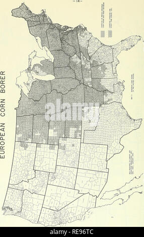 . Kooperative Wirtschaftsbeziehungen insekt Bericht. Nützlinge und Schädlinge. . Bitte beachten Sie, dass diese Bilder sind von der gescannten Seite Bilder, die digital für die Lesbarkeit verbessert haben mögen - Färbung und Aussehen dieser Abbildungen können nicht perfekt dem Original ähneln. extrahiert. In den Vereinigten Staaten. Tier- und Pflanzengesundheit. Pflanzenschutz und Quarantäne Programme; in den Vereinigten Staaten. Büro der Entomologie und Quarantäne; in den Vereinigten Staaten. Anlage Pest Control. Hyattsville, MD. [Etc. ] Pflanzenschutz und Quarantäne Programme und die Gesundheit von Tieren und Pflanzen Service Stockfoto