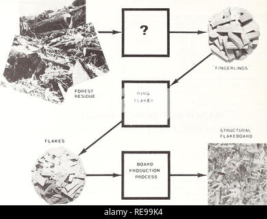 . Umwandlung von Wald Rückstände zu strukturellen flakeboard: Die fingerling Konzept. Spanplatten; Holz Recycling von Abfällen. Abbildung 8.-Fingerling Konzept für die Umwandlung von Wald Rückstände zu strukturellen flakeboard.. Bitte beachten Sie, dass diese Bilder sind von der gescannten Seite Bilder, die digital für die Lesbarkeit verbessert haben mögen - Färbung und Aussehen dieser Abbildungen können nicht perfekt dem Original ähneln. extrahiert. Rulon Gardner, B. cn; Schaffer, Erwin L. cn; Erickson, John R; Intermountain Wald und Experiment Station (Ogden, Utah) 1 n. Ogden, Utah: Intermountain Wald und Reichweite Stockfoto