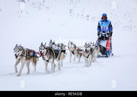 Teilnehmer in der La Grande Odyssée Savoie Mont Blanc Schlittenhunderennen, Praz de Lys Sommand, Auvergne-Rh ône-Alpes, Frankreich Stockfoto