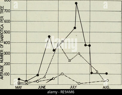 . Kontrolle von diabrotica, oder Western spotted Gurke Käfer, in Laub- und Obstbäumen. Diabrotica Diabrotica;; Obst. Bul. 681 J Kontrolle von Diabrotica 21 von der unbebauten Flächen, die oben besprochen wurden; von diesem Zeitpunkt an, große Populationen gefunden werden kann. Die saisonale Bevölkerung Trends für 1940 in drei Obstgärten werden grafisch in Abbildung 13 gezeigt. Diese zeigen, dass es eine breite Variation in der Bevölkerung in den drei Obstgärten beobachtet. Die beiden Obstgärten mit den größten Bevölkerungen wurden in der Nähe der Kante des Obst-Abschnitt, während der dritte war in der Pro Stockfoto