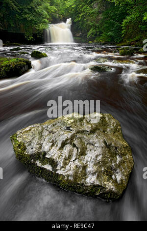 West Burton fällt, Wensleydale, Yorkshire Dales, England Stockfoto