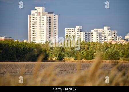 Blick auf einem abgeernteten Feld auf den Satelliten Stadt Gropiusstadt in Berlin-Neukölln von der Sonne beleuchtet. Stockfoto