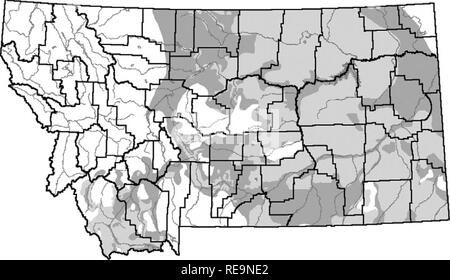 . Bewirtschaftung und Erhaltung Strategien für Sage grouse in Montana - Endrunde. Sage grouse; Sage grouse; Erhaltung von Lebensräumen; Wildlife Management; Vögel; Vogelpopulationen. Aktuelle Sage grouse Verteilung historische Sage grouse Verteilung Grafschaft Strom Abbildung III-l. Aktuelle und historische Verteilung der Sage grouse in Montana. Karte von MFWP Information Services zur Verfügung. Zucht Wallestad (1975) gefunden strutting Gründen oder "Leks", wo tatsächlich Zucht auftritt, Schlüsselbereiche in Überwinterung - Nesting Komplexe zu werden. Leks Häufig bestehen aus lichtungen umgeben von sageb Stockfoto