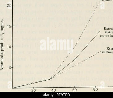 . Beiträge aus dem Labor... 142 teilweise Sterilizatioii des Bodens sind die Ergebnisse auf Kurve 4. Auszug aus Tolueiied Boden Auszug aus Toluened Boden + Auszug aus iiiitrcatecJ Boden (einige große Organismen jiresent) Auszug aus "rolucned Boden + Kultur großer Organismen aus unbehandelten Boden 40 60 80 Zeit in Stunden Kurve 4. Wirkung großer Organismen aus unbehandelten Boden auf die Zersetzung von pepton von Bodenbakterien (Tabelle 14). Ich 40. Nicht nur teilweisen Sterilisierung diese destruktiven und konkurrierenden Organismen töten und damit die Bedingungen für die neue bacter Stockfoto