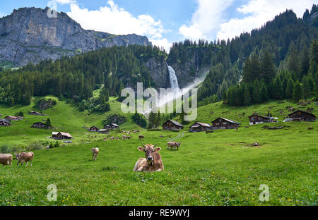 Schönes Landschaftspanorama von Schweizer Alpen, mit Kühen, Wasserfall, Wiese und Bauernhäusern. Aufgenommen in Äsch (Asch), Kanton Uri, Schweiz. Stockfoto