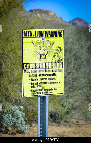 Ein Mountain Lion Warnung Schild auf einem Wanderweg im Sabino Canyon Erholungsgebiet der Coronado National Forest in der Nähe von Tucson, AZ Stockfoto