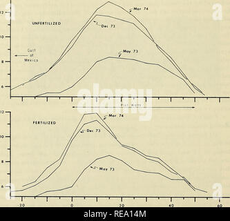 . Konstruktion und Stabilisierung der Küstengebiete foredunes mit Vegetation, Padre Island, Texas. Ufer Schutz; Inseln; Gräser, Sand Dünen. S6-. T-20 0 DUNE BREITE (M) Abbildung 42. Meine Querschnitt Profile von Ungedüngten und befruchteten (180-120-60) bitter panicum Plots (Norden Hälfte, 1.200 Fuß - Dune - breite Panicum, North Padre). Erste Pflanzung im Februar 1972. Grundstücke wurden Mai 1973 vor der Düngung und nach Dezember 1973 und März 1974 befragt. Jeder ist der Mittelwert der vier Profile von jeweils zwei in zwei 50-von 50-Fuß-Plots pro Behandlung. 142. Bitte beachten Sie, dass diese Bilder sind e Stockfoto