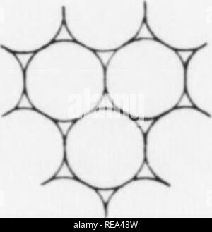 . Beiträge der botanischen Labor, Bd. 7. Botanik; Botanik. Abb. 20. Übersicht 5 mögliche Anordnungen von die Globuli einer Emulsion. Positionen, die chromomeres, die zerstreuten Emulsionströpfchen (Alveolen) und die Linin Thread der fortlaufenden (interalveolar) Medium, hängt ganz davon ab, das Bild, das die Ergebnisse auf die Blutgerinnung und Interpretation des Betrachters. Beide Situationen können durchaus korrekt sein, die chromo-MERES sind nicht die gleiche Substanz in den beiden Fällen. So, in Abb. 19, PI. Kranke, die ''chromo-Meres" sind Emulsion Globuli (Alveolen) während in Abb. 21 Sie Knotenpunkt sind Stockfoto