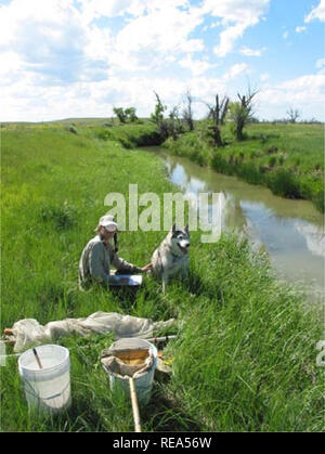 . Aquatische Erhebungen und Beurteilung der Slim Buttes Region Harding und Butte CO, SD. Wirbellosen Wassertieren; wirbellosen Wassertieren; Stream Stream Ökologie; Ökologie; Ökologie; Watershed Watershed Ökologie. Website Beschreibung South Fork Moreau River (Ort Nr. 2). Abbildung 38. South Fork Moreau River #2 (AES COOS) Pool Lebensraum, upstream suchen in der Nähe von Rte. 85 Brücke^! IM â Illujl f*1^^^^^^^^^^^^^^^^^^. Bitte beachten Sie, dass diese Bilder aus gescannten Seite Bilder, die digital für die Lesbarkeit verbessert haben mögen - Färbung und Aussehen dieser Abbildungen können nicht genau mit dem beschäftigungsprojekt ähneln extrahiert werden Stockfoto