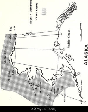 . Überlegungen über eine Aufhebung des Moratoriums und Rückgabe der Verwaltung bestimmter Meeressäugetiere zu Alaska: final Environmental Impact Statement/Interagency Task Group [der] US-Handelsministerium, nationalen ozeanischen und atmosphärischen Leitung, National Marine Fischerei Service [und] US-Innenministerium, Fisch und Wildlife Service. Meeressäuger Alaska. '*Mmw 49. Bitte beachten Sie, dass diese Bilder extrahiert werden aus der gescannten Seite Bilder, die digital haben für die Lesbarkeit verbessert - Färbung und Aussehen dieser Abbildungen können nicht Perfekt resembl Stockfoto