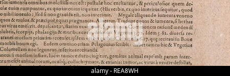 . Conradi Gesneri medici Tigurini Historiae animalium liber Primus de quadrupedibus viuiparis: Opus philosophis, Medici, grammaticis, philologis, poeÌtis, &Amp; Omnibus rerum linguarumqÌue variarum studiosis, vtilissimum simul iucundissimumqÌue futurum. Pre-Linnean arbeitet; Zoologie. fedanteavctufi: Ama (HperalangereconaenJc, Hlppocrateshjppiatcr. Aliqd, Vt Taraniinus, traduni alHa tufii ceruinum fuffiendumcijCorni tfreimponenda, 3. Abryftusmeliuscfleputauit, filsfa parsvraturfimul Atq; den* liuminiuriamfenrtt. Stratonicosrcarificandumvulnusconfuiit. prjcfertimquodinflammationecingitur. di Falc&amp; 2 ce Stockfoto