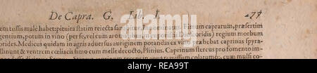 . Conradi Gesneri medici Tigurini Historiae animalium liber Primus de quadrupedibus viuiparis: Opus philosophis, Medici, grammaticis, philologis, poeÌtis, &Amp; Omnibus rerum linguarumqÌue variarum studiosis, vtilissimum simul iucundissimumqÌue futurum. Pre-Linnean arbeitet; Zoologie. lenus. Profluuiumquamuisimmenrum vrinacapn - Bpotarsfliobftetricespromittutj&amp; rifimumiliinatur, Plinius. Siequusvngulampertuderitjouiliumftercuscumacctopermifcebis&amp; impones: quamuisalij capnniicfficacius credunt. Vkg&lt; tus. Malusarborquajiam verracshabetcurabiturcaprino ftercprecum vrina Hum* Na radicibus affufo Stockfoto